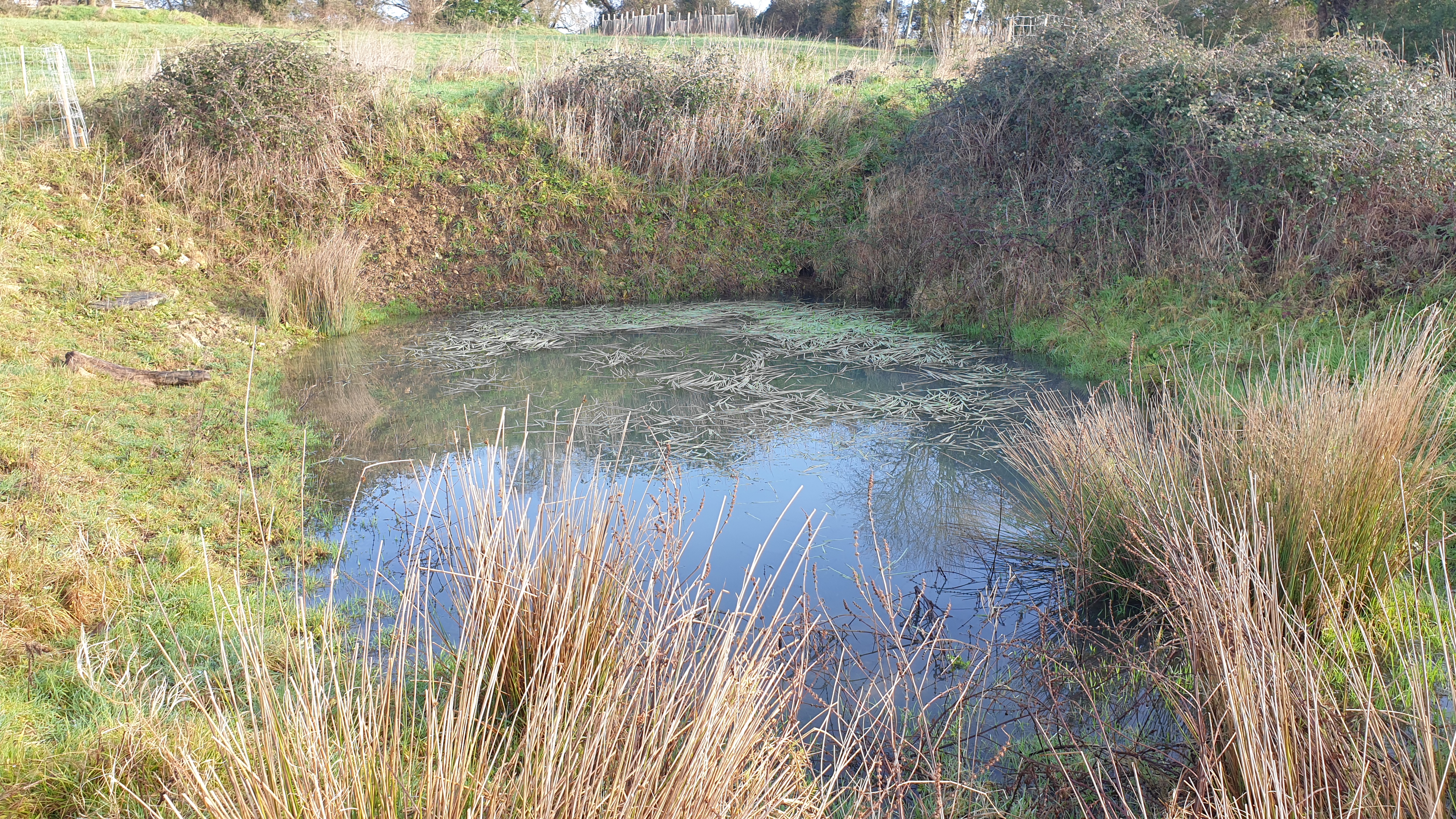 image 9066E78C252C4BE28F46A518CFBAF3BC.jpeg (6.3MB)